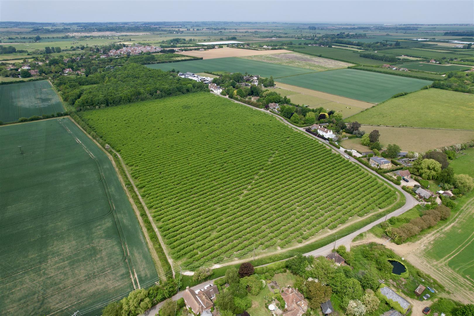 Building Plot/Land Main Photo