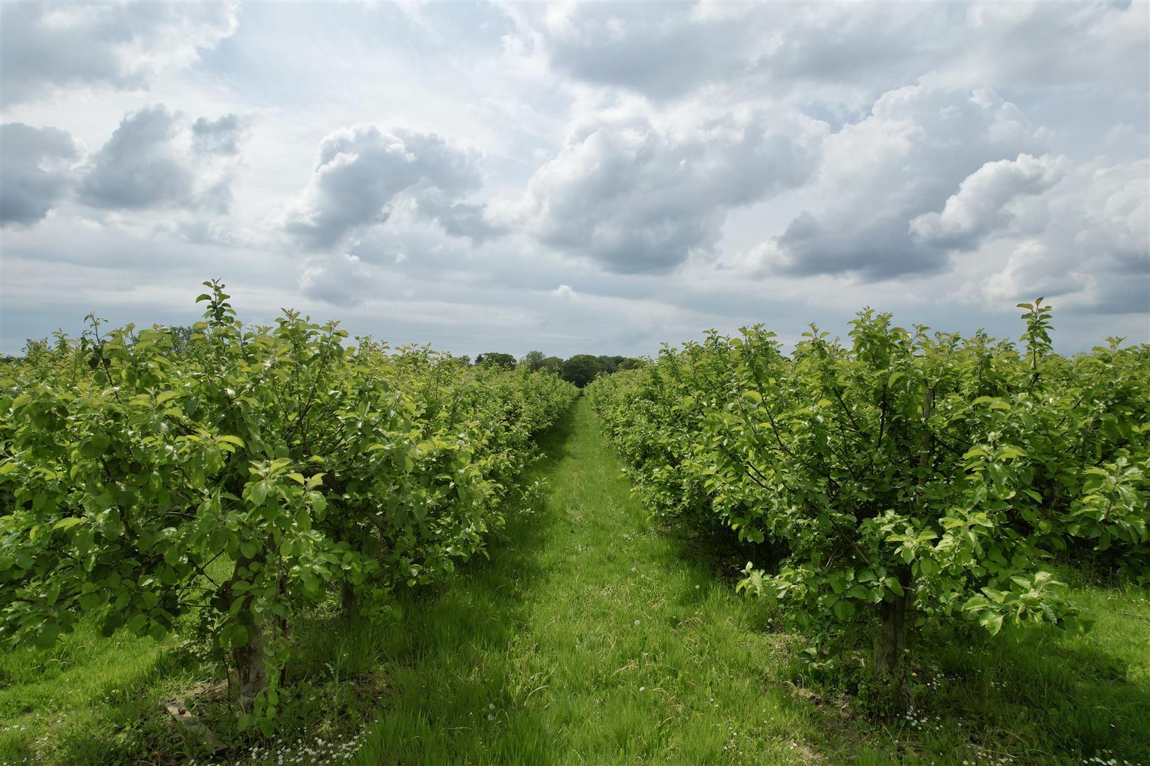 Building Plot/Land Photo 1