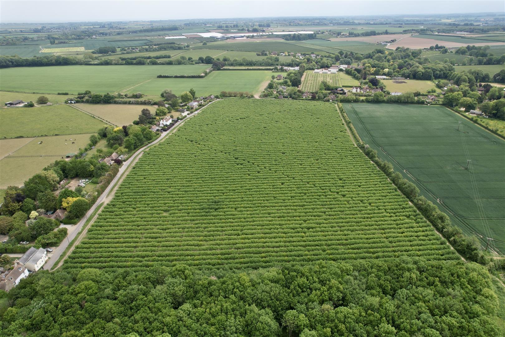 Building Plot/Land Photo 2
